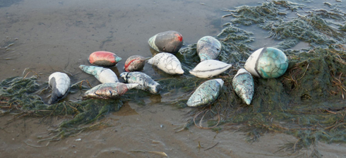 tactielevormen aan de Lek